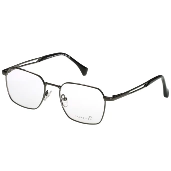 Оправы Avanglion AVO3644-50 c10